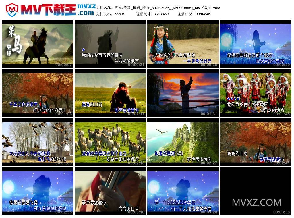 雯婷-策马_国语_流行_MD205986